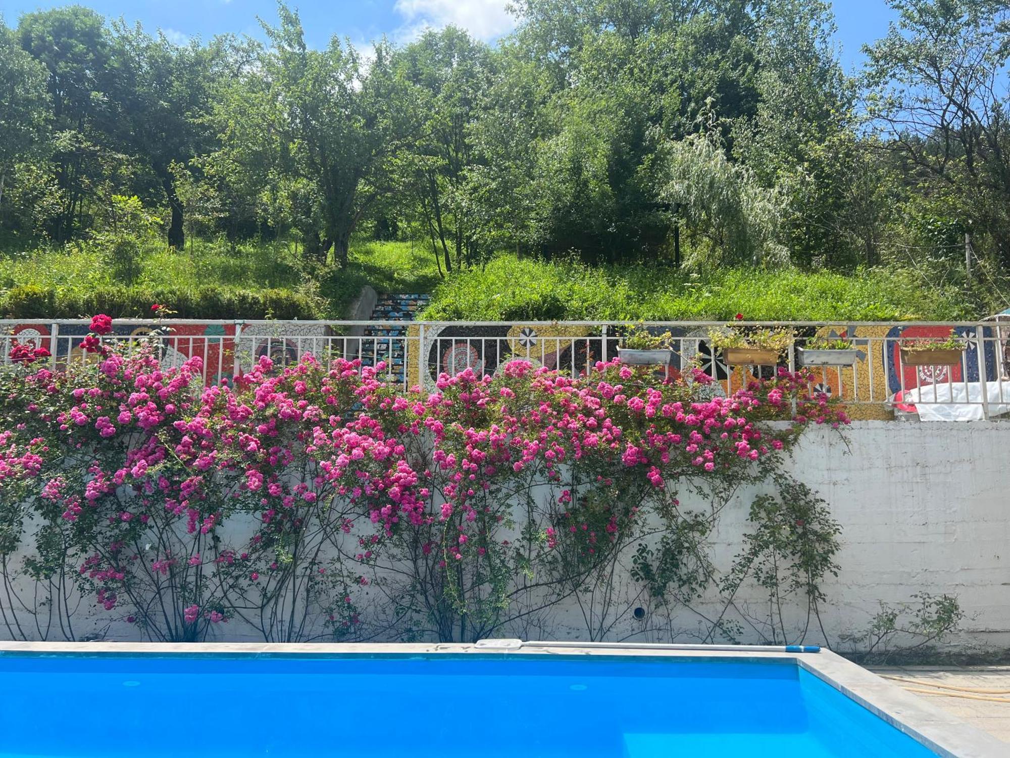 Dilijan Duplex 빌라 외부 사진