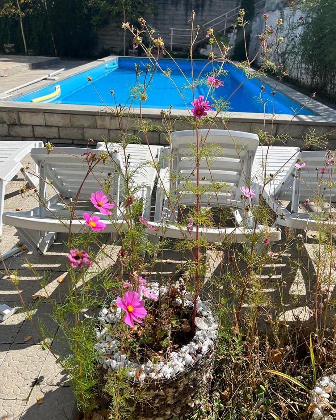 Dilijan Duplex 빌라 외부 사진