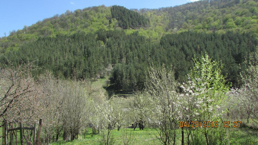 Dilijan Duplex 빌라 외부 사진